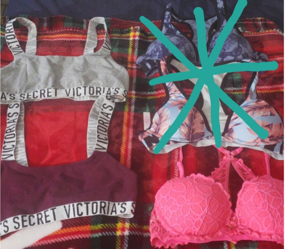 Pink Bra Bundle - image 1